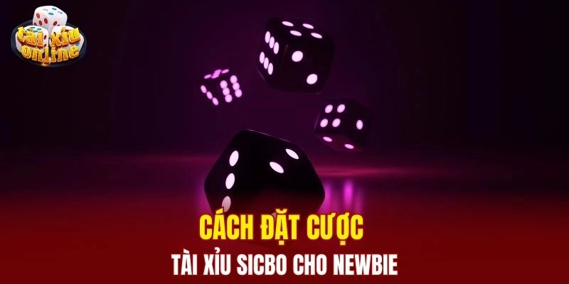 Cách đặt cược tài xỉu sicbo cho newbie